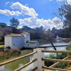 Ruta de los Molinos - Alcala de Guadaira