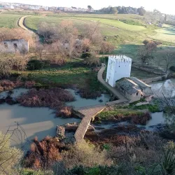 Ruta de los Molinos - Alcala de Guadaira