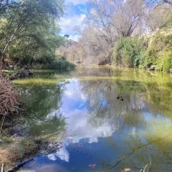 Ruta de los Molinos - Alcala de Guadaira