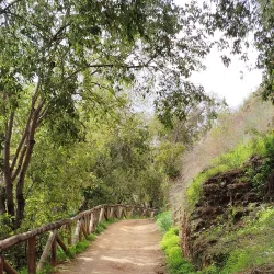 Ruta de los Molinos - Alcala de Guadaira