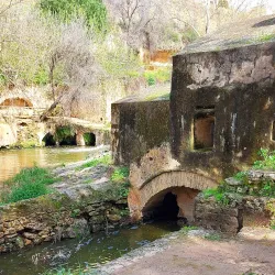 Ruta de los Molinos - Alcala de Guadaira