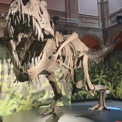 Museo Arqueológico Regional - Alcala de Henares