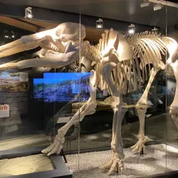 Museo Arqueológico Regional - Alcala de Henares