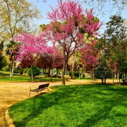 Parque O'Donnell - Alcala de Henares