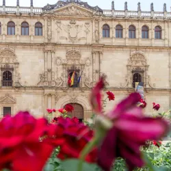 University of Alcalá - Alcala de Henares