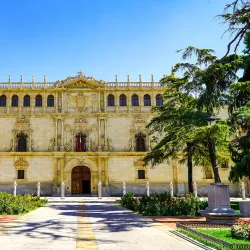 University of Alcalá - Alcala de Henares