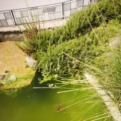 Parque Municipal de Alhaurín el Grande - Alhaurin el Grande