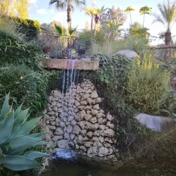 Parque Municipal de Alhaurín el Grande - Alhaurin el Grande