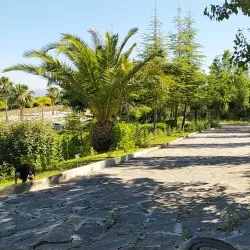 Parque Municipal de Alhaurín el Grande - Alhaurin el Grande