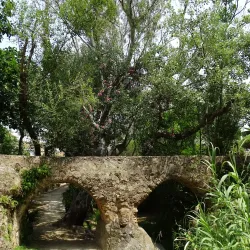 Sendero de los Molinos - Alhaurin el Grande