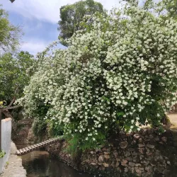 Sendero de los Molinos - Alhaurin el Grande