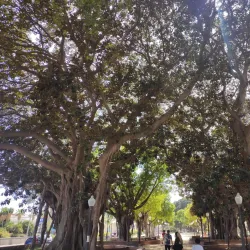 Explanada de España - Alicante