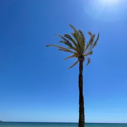 Postiguet Beach - Alicante