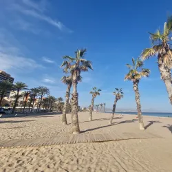 San Juan Beach - Alicante