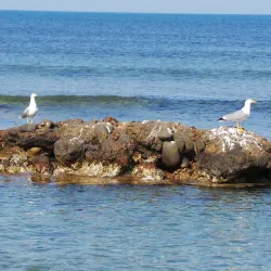 Tabarca Island - Alicante