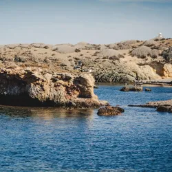 Tabarca Island - Alicante