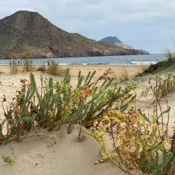 Playa de los Genoveses - Almeria