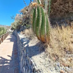 Parque Ornitológico Loro Sexi - Almunecar