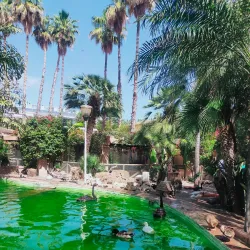 Parque Ornitológico Loro Sexi - Almunecar