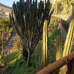 Parque Ornitológico Loro Sexi - Almunecar