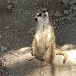Parque Ornitológico Loro Sexi - Almunecar