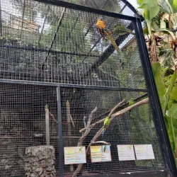 Parque Ornitológico Loro Sexi - Almunecar