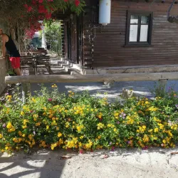 Tropical Park - Almunecar