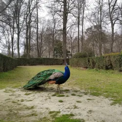 Jardín de la Isla (Island Garden) - Aranjuez