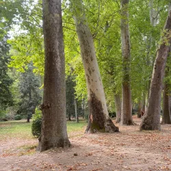 Jardín del Príncipe (Prince's Garden) - Aranjuez