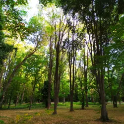Jardín del Príncipe (Prince's Garden) - Aranjuez