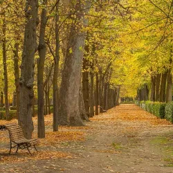 Jardín del Príncipe (Prince's Garden) - Aranjuez
