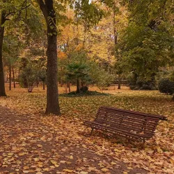 Jardín del Príncipe (Prince's Garden) - Aranjuez