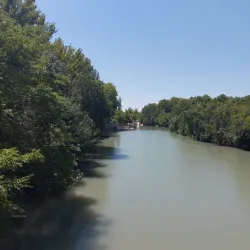 Museo de Falúas Reales (Royal Barges Museum) - Aranjuez