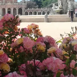 Tagus River - Aranjuez