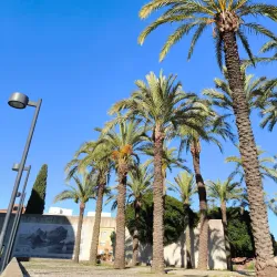 Museo Extremeño e Iberoamericano de Arte Contemporáneo (MEIAC) - Badajoz