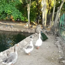 Parque de Castelar - Badajoz