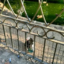 Parque de Castelar - Badajoz