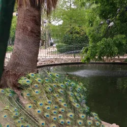 Parque de Castelar - Badajoz