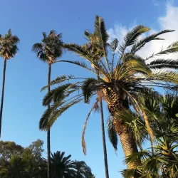 Parque de Castelar - Badajoz