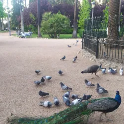 Parque de Castelar - Badajoz