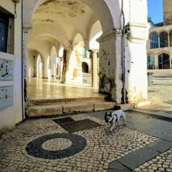 Plaza Alta - Badajoz