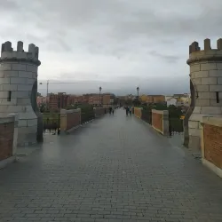 Puente de Palmas - Badajoz