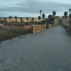 Puente de Palmas - Badajoz