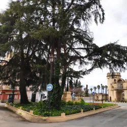 Puerta de Palmas - Badajoz