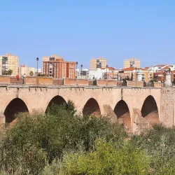 Puerta de Palmas - Badajoz