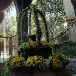 Gothic Quarter (Barri Gòtic) - Barcelona