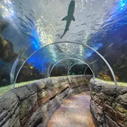 Benalmadena Puerto Marina - Benalmadena