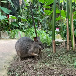 Mariposario de Benalmadena (Butterfly Park) - Benalmadena