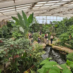 Mariposario de Benalmadena (Butterfly Park) - Benalmadena