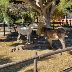 Parque de la Paloma - Benalmadena